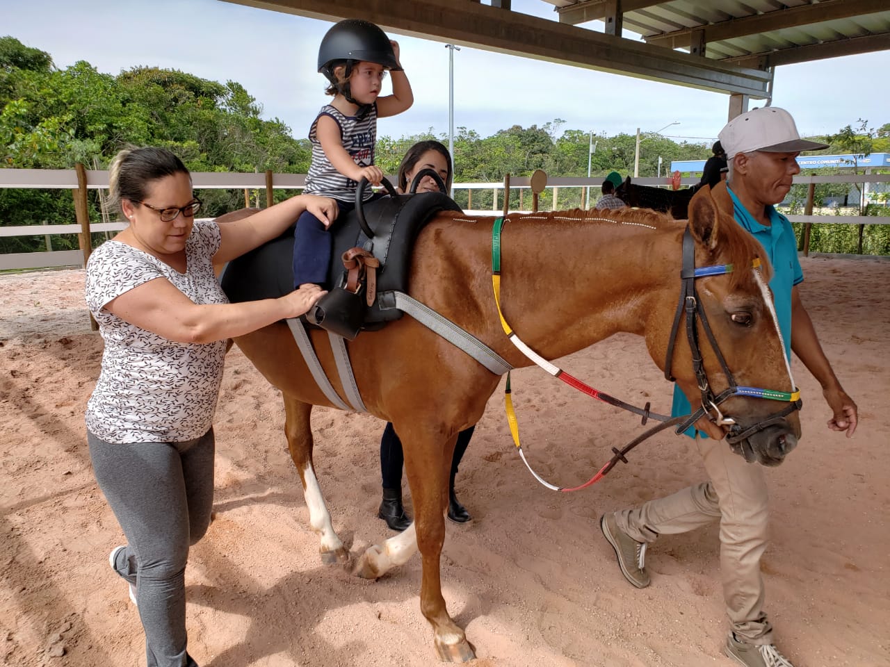 Cavalaria de SP oferece aulas de equoterapia para estimular pessoas com  deficiência