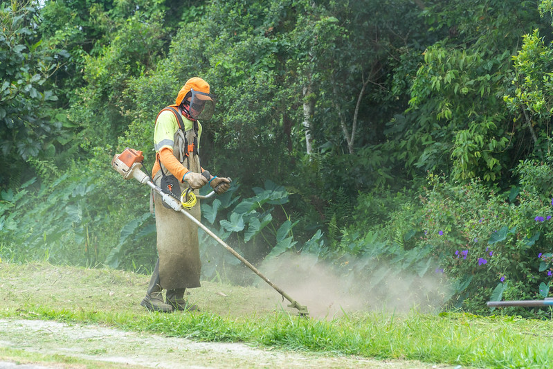 Boraceia tem serviços de zeladoria ampliados com mutirões de limpeza